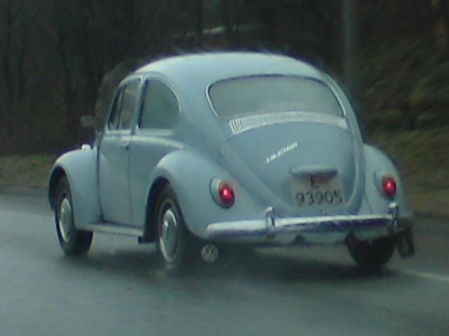 DSC01810.JPG