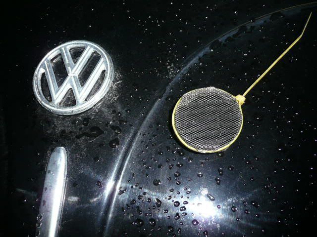 P1010179.JPG