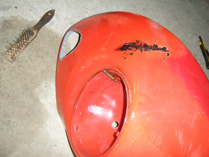 DSCF1541.jpg