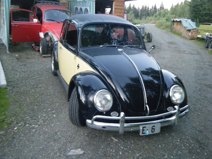 DSCF1519.jpg
