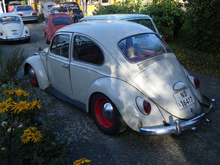 DSCF2431.jpg