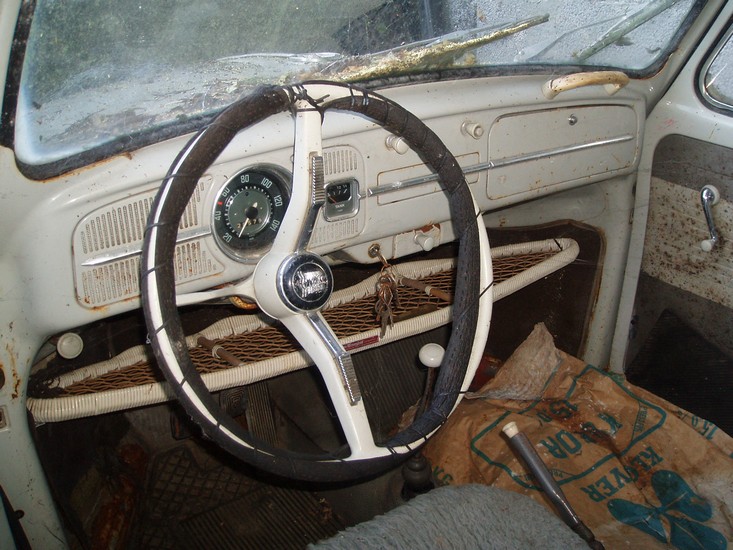 P1013645.jpg