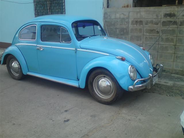 DSC01810 (Small).JPG