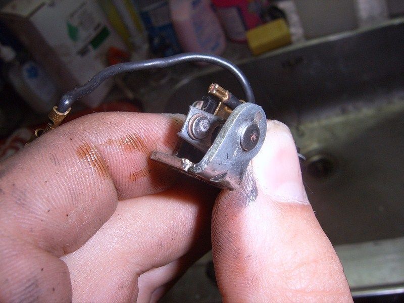 SUC50044 [800x600].JPG