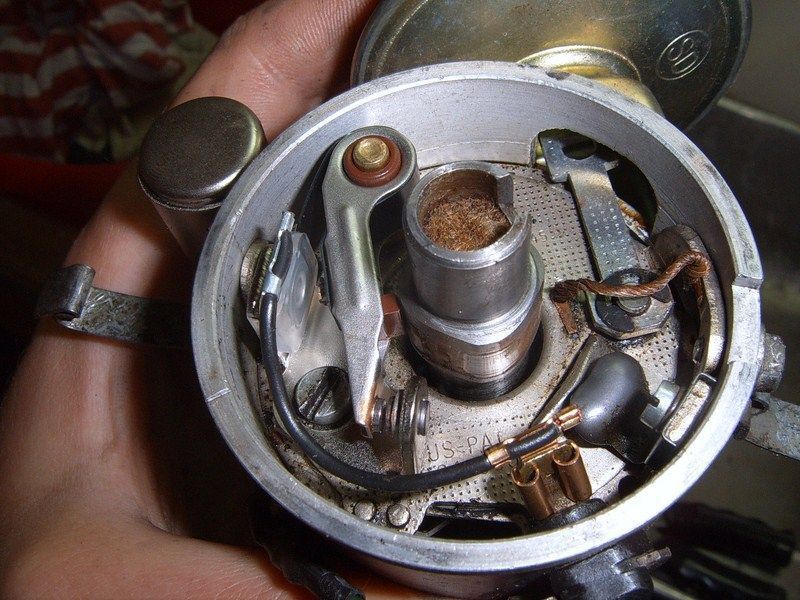 SUC50046 [800x600].JPG