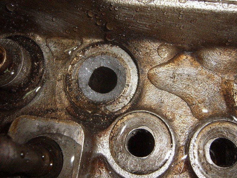 SUC50079 [800x600].JPG
