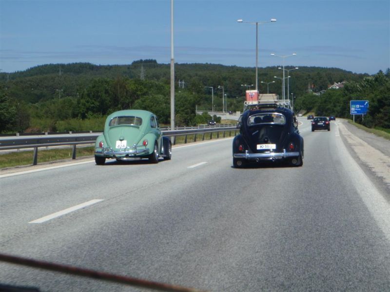 P6260277 (Large).JPG