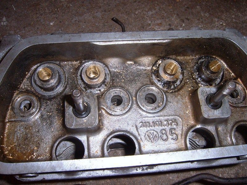 SUC50083 [800x600].JPG