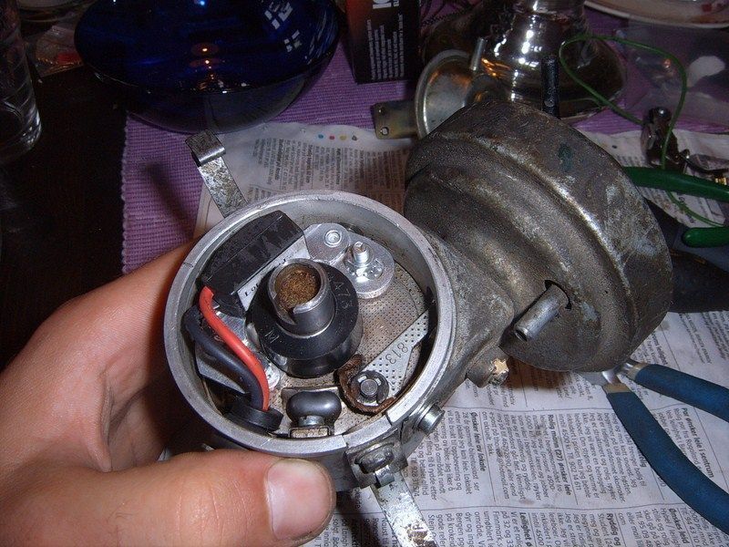 SUC50084 [800x600].JPG