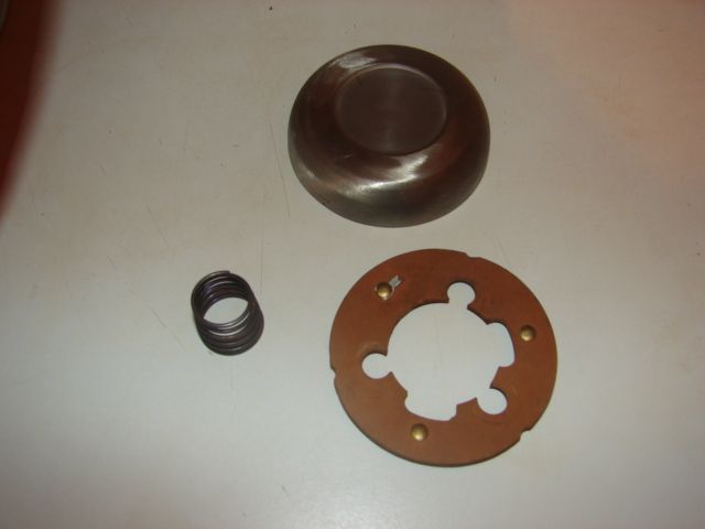 ratte 002.JPG