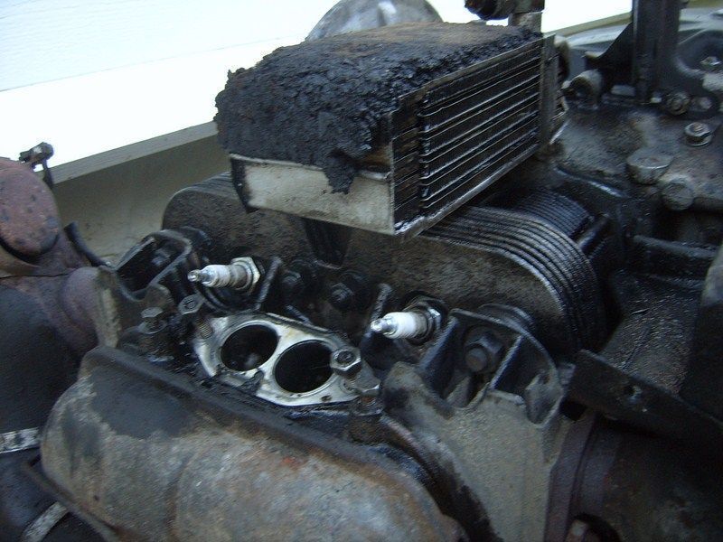 SUC50056 [800x600].JPG
