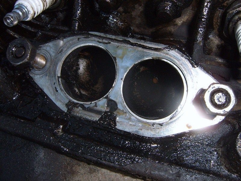 SUC50057 [800x600].JPG