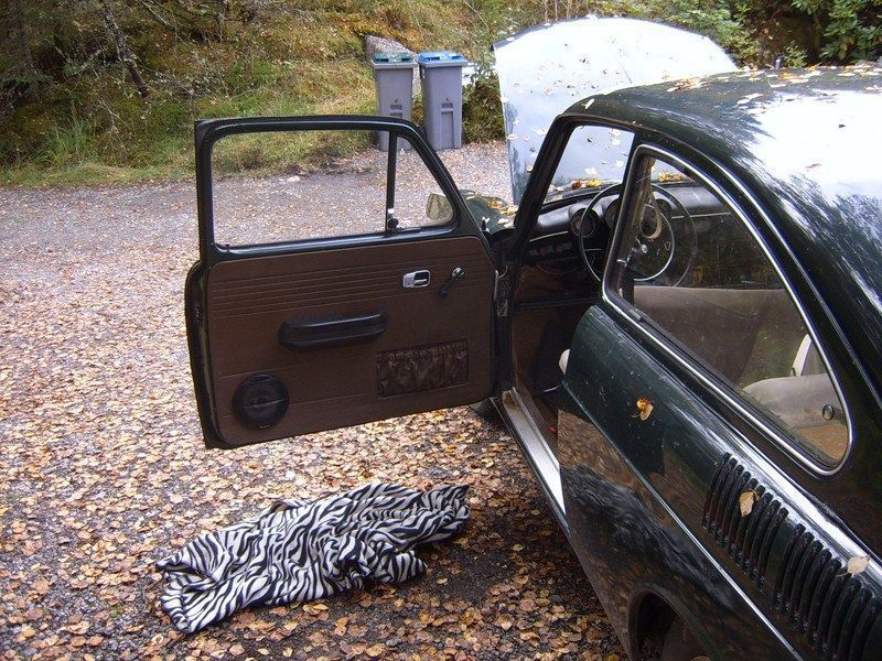 SUC50091 [800x600].JPG