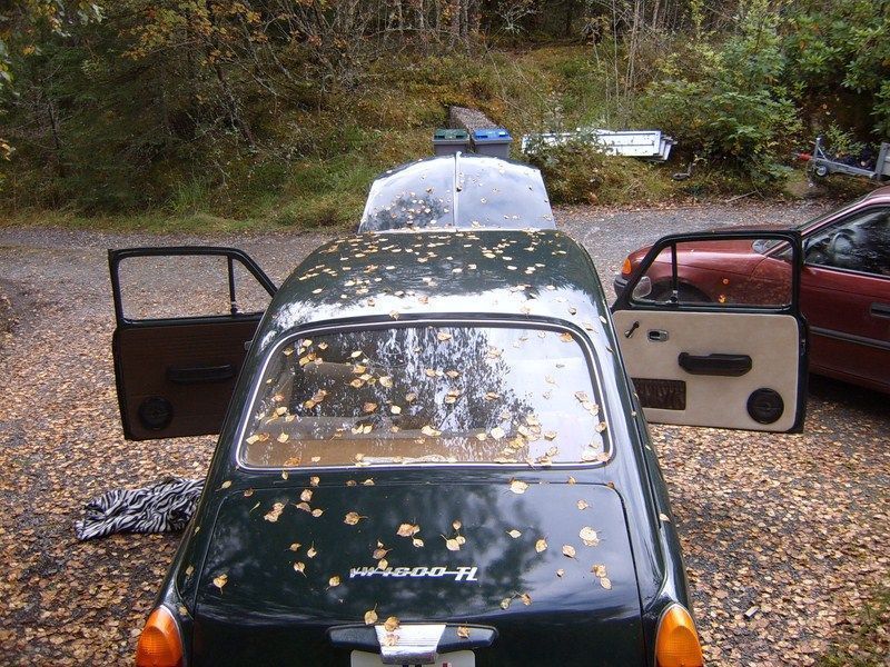SUC50093 [800x600].JPG
